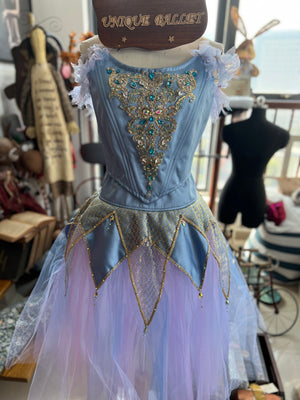 Professional Pharaoh's Daughter Act 3 River Variation Long Romantic Ballet TuTu Dress YAGP Stage Costume  - RDFPHADTER