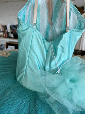 **Sample Discount** Professional Mint Green Tutu Professional La Esmeralda Classical Ballet TuTu Costume With Hooks