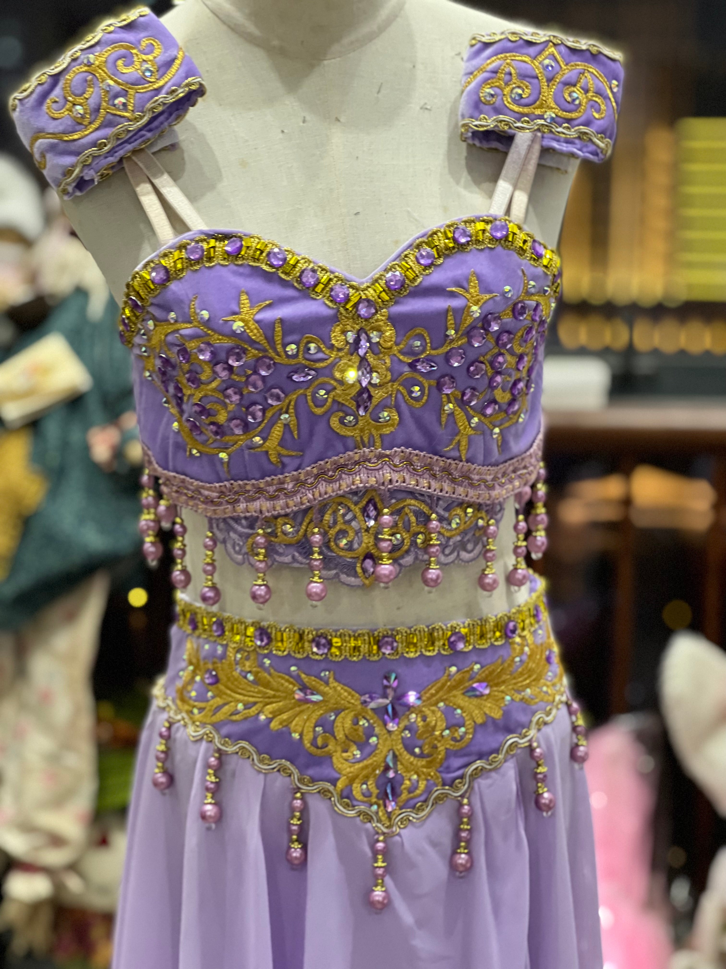 Professional Hooks Style 2 Pieces Purple La Bayadere Nikija Indian Crop Top and Skirt Ballet Costume Set Nutcracker Arabian Dance Wear YAGP Costume - YL2PLLCSKTGD