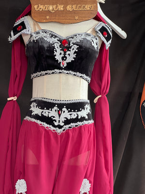 2 Pieces Black Top and Burgandy Win Red With Silver Appliqués Pants Arabian Dance La Bayadere Nikija Indian Crop Top and Pants Ballet Costume -YLPNTSBLKWNREDSLV