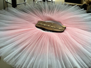 Professional Pink Ombre Ballet Rehearsal TuTu Skirt Ombré Practice Tutu