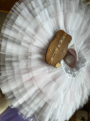 Professional Pink Ombre Ballet Rehearsal TuTu Skirt Ombré Practice Tutu