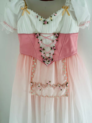 High-end 2 Pieces Professional Pink Gradient La Fille Ma Gardée Giselle Peasant Ballet Long Romantic Tutu Dress YAGP TuTu Costume- ZDPNKGSL