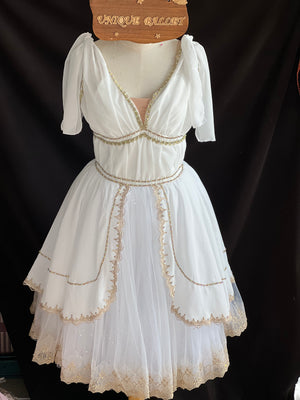 Professional Awakening of Flora Romantic Goddess of Youth Grecian Style Ballet TuTu Costume -RDFGODEYTH