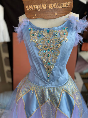 Professional Pharaoh's Daughter Act 3 River Variation Long Romantic Ballet TuTu Dress YAGP Stage Costume  - RDFPHADTER