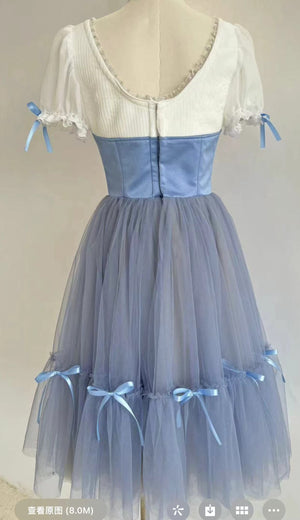 Professional Giselle Gray Blue Peasant Ballet Long Romantic Tutu Dress YAGP TuTu Costume