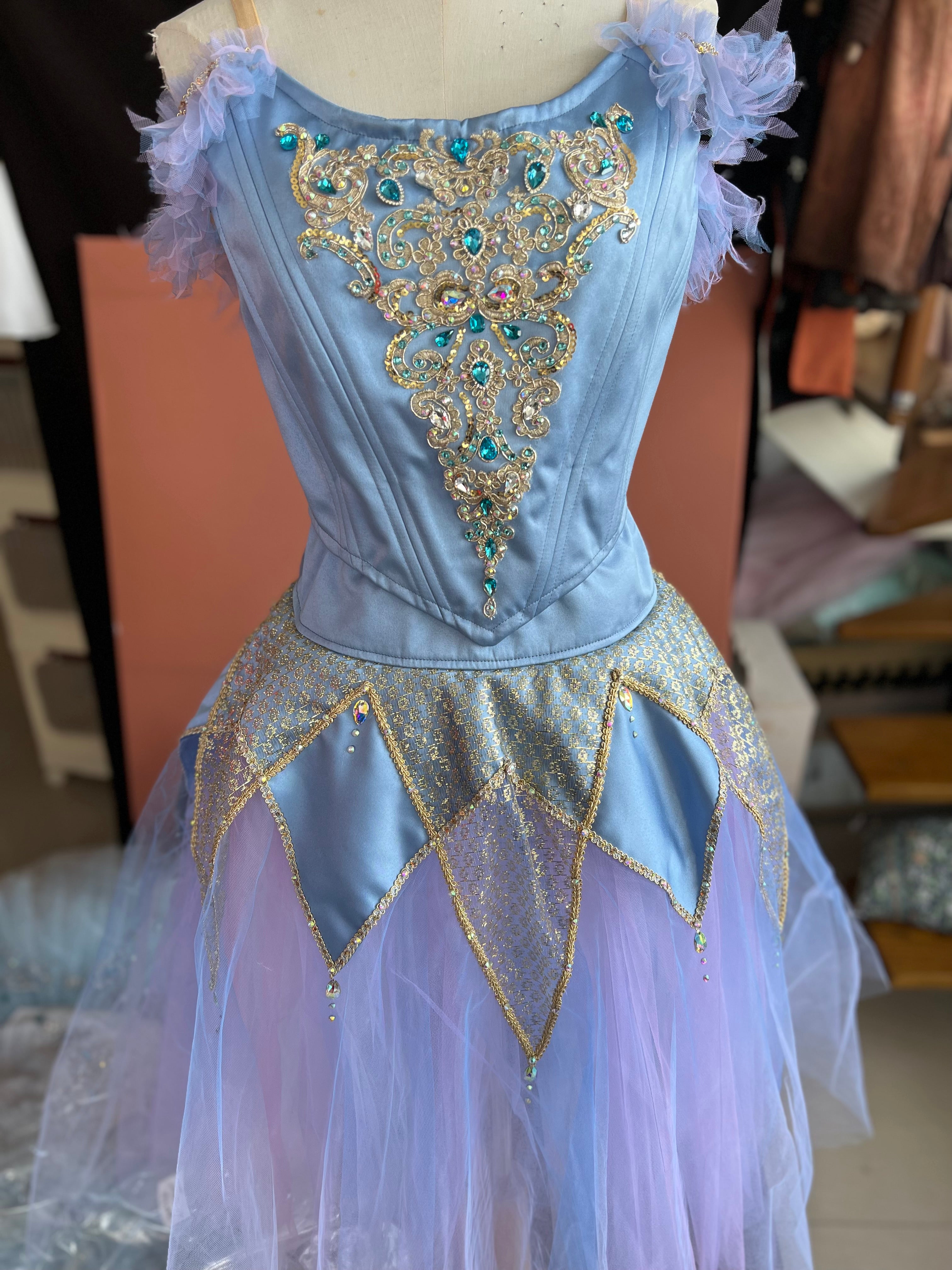 Professional Pharaoh's Daughter Act 3 River Variation Long Romantic Ballet TuTu Dress YAGP Stage Costume  - RDFPHADTER