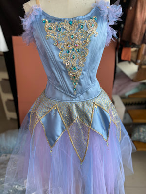 Professional Pharaoh's Daughter Act 3 River Variation Long Romantic Ballet TuTu Dress YAGP Stage Costume  - RDFPHADTER