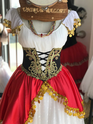 Professional La Esmeralda Romantic Ballet TuTu Costume Tambourine Dance Long Romantic Tutu Dress -RYLREWHTESMRLDGD